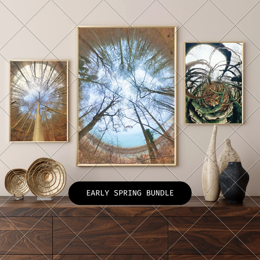 Early Spring Bundle — 11 Nordic Nature Posters (Instant Download)